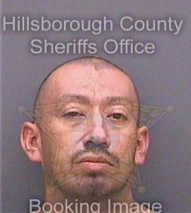 Hernandezflores Claudio - Hillsborough County, FL 