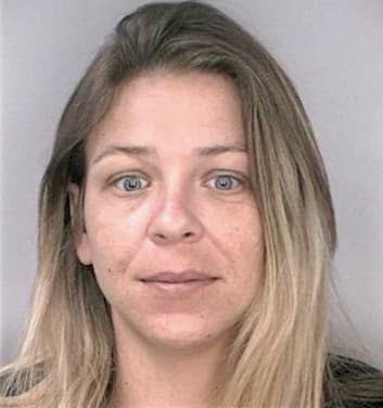 Mcilinkovich Melanie - Hillsborough County, FL 