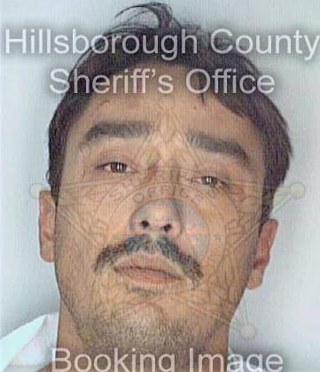 Boettcher Michael - Hillsborough County, FL 