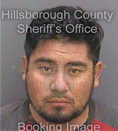 Navanavarrete Sergio - Hillsborough County, FL 