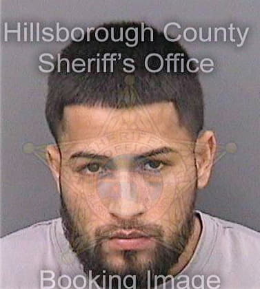 Martinez-Maldonado Jaser - Hillsborough County, FL 