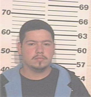 Hernandez Michael - Hidalgo County, TX 