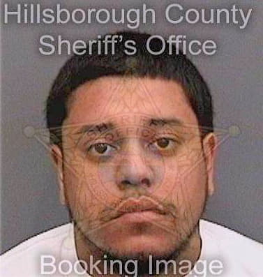 Gonzalez Candelario - Hillsborough County, FL 