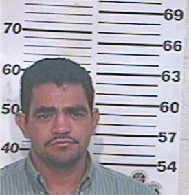 Hernandez Jose - Hidalgo County, TX 