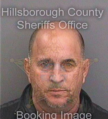 Sanchez Osiel - Hillsborough County, FL 