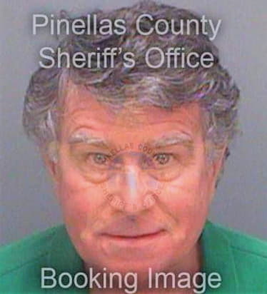 Mcgowan Thomas - Pinellas County, FL 