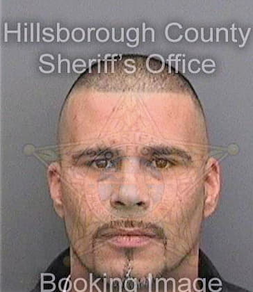 Gonzalezguindin Ramon - Hillsborough County, FL 