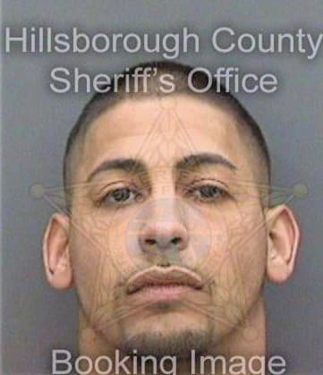 Hance Anthony - Hillsborough County, FL 