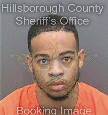 Baron Michael - Hillsborough County, FL 