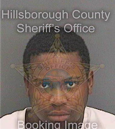 Devlin Tyrone - Hillsborough County, FL 