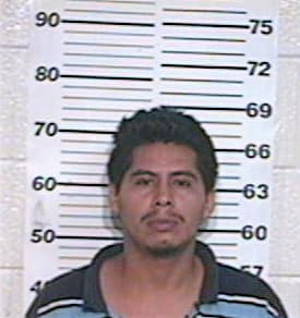 Gomez Enrique - Hidalgo County, TX 