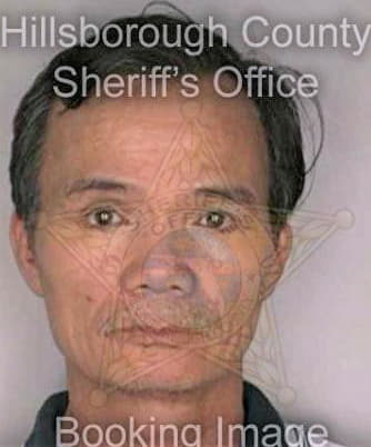 Dang Thanh - Hillsborough County, FL 