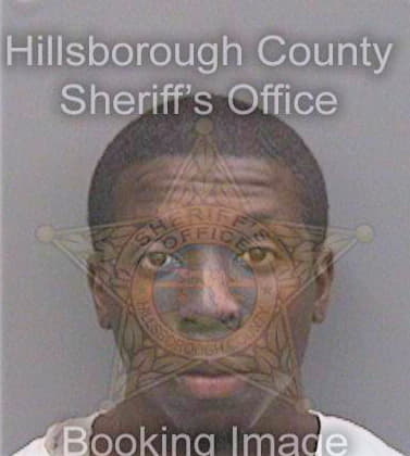 Joseph Ronel - Hillsborough County, FL 