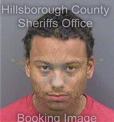 Martinez Anthony - Hillsborough County, FL 