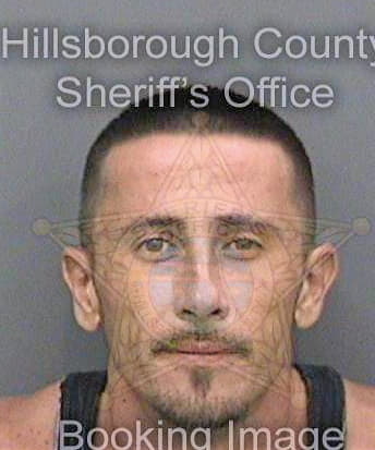 Bradley David - Hillsborough County, FL 