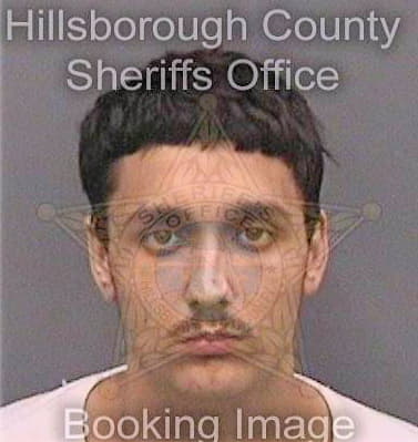 Bullard James - Hillsborough County, FL 