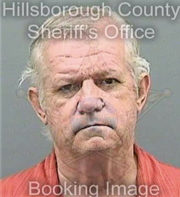 Michel Rogelio - Hillsborough County, FL 