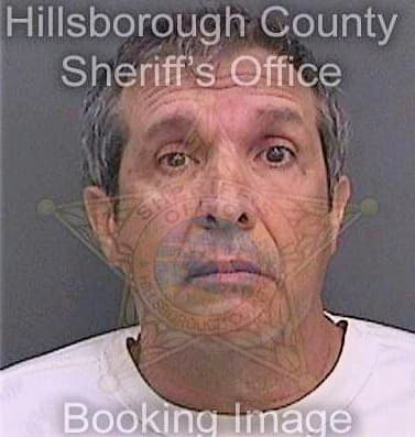 Gonzalez Jose - Hillsborough County, FL 