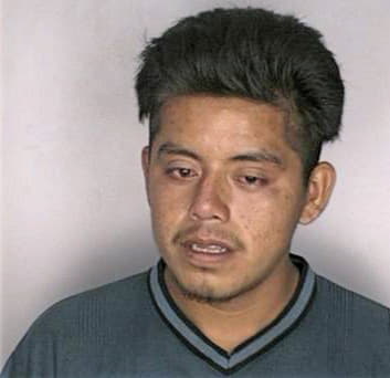 Mendez Raul - Hillsborough County, FL 
