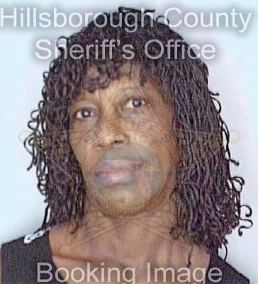 Mcelroy Elizabeth - Hillsborough County, FL 