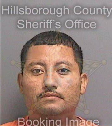 Mendozalopez Orlando - Hillsborough County, FL 