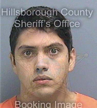 Floresduron Cristian - Hillsborough County, FL 