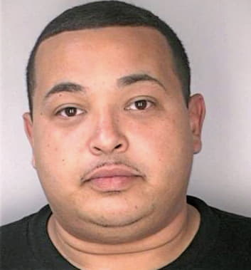 Borges Juan - Hillsborough County, FL 