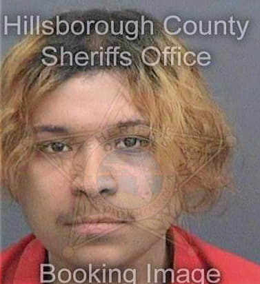 Meza-Pedroza Jorge - Hillsborough County, FL 