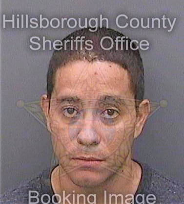 Sirvent Tommy - Hillsborough County, FL 
