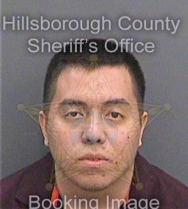 Zevallosdelatorre Diego - Hillsborough County, FL 