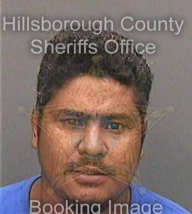 Torres Andres - Hillsborough County, FL 