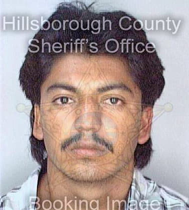 Lozado Roberto - Hillsborough County, FL 