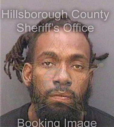 Bonheur Johny - Hillsborough County, FL 