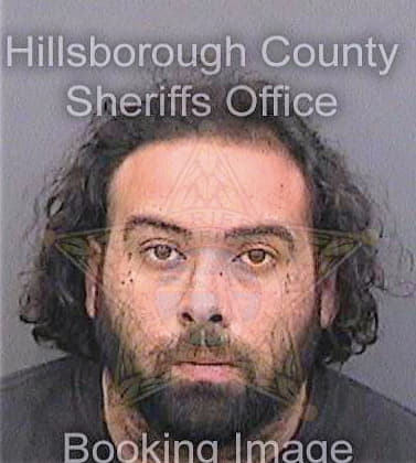 Gonzalez Hector - Hillsborough County, FL 