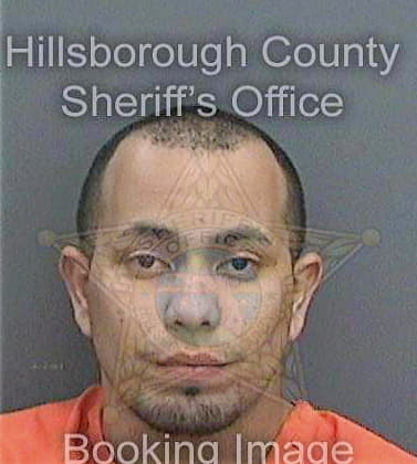 Figueroamarcano Edgardo - Hillsborough County, FL 