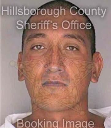 Carmona Edward - Hillsborough County, FL 