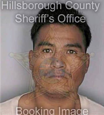 Santiago Pedro - Hillsborough County, FL 