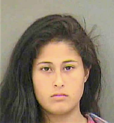 Enriquez Samantha - Mecklenburg County, NC 