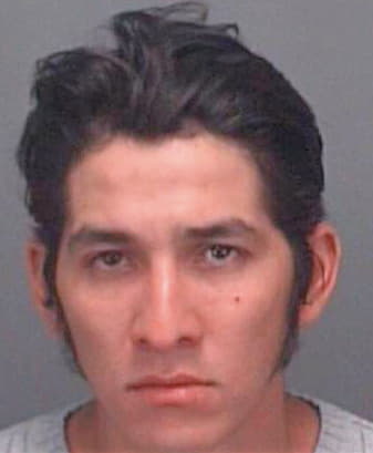 Perezmorales Alejandro - Pinellas County, FL 