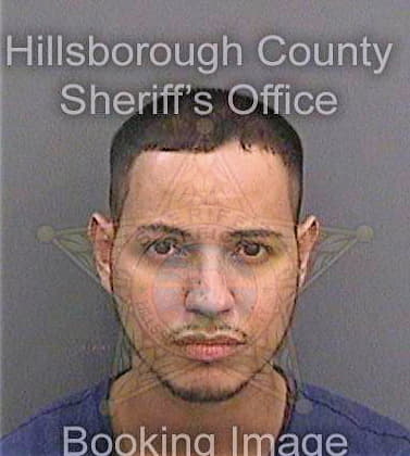 Feliciano William - Hillsborough County, FL 