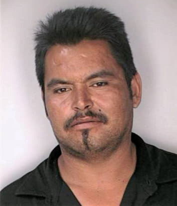 Mcleroy David - Hillsborough County, FL 