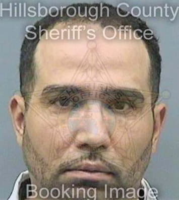 Diaz Richardo - Hillsborough County, FL 