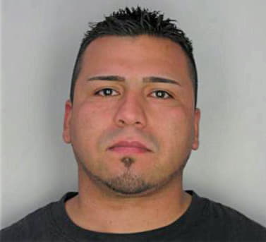 Rico Armando - Hillsborough County, FL 