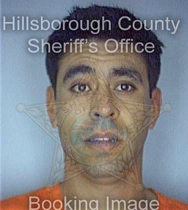 Pierce Carlos - Hillsborough County, FL 