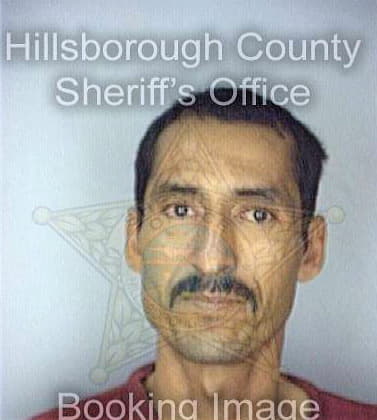 Dominguez Domingo - Hillsborough County, FL 