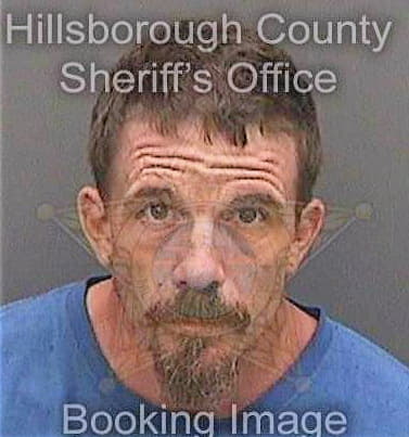 Mendelsohn Dennis - Hillsborough County, FL 