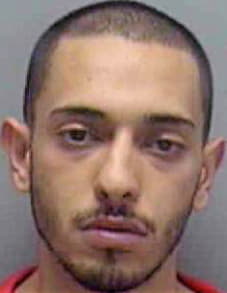 Shalaby Magdy - Lee County, FL 