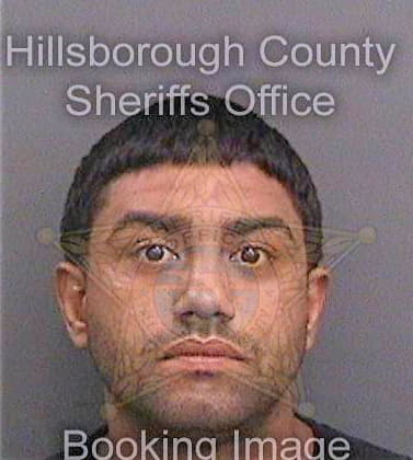 Santosrivera Ramon - Hillsborough County, FL 