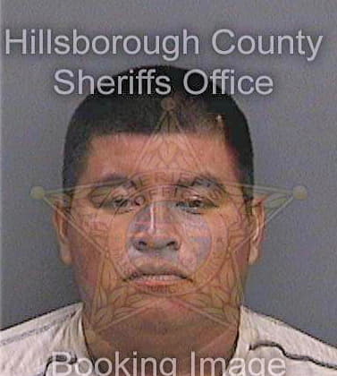 Jiminezgarcia Aurelio - Hillsborough County, FL 