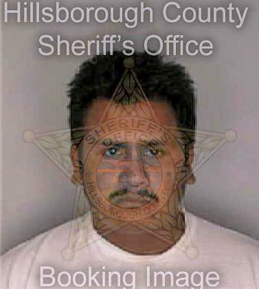 Cardona Luis - Hillsborough County, FL 